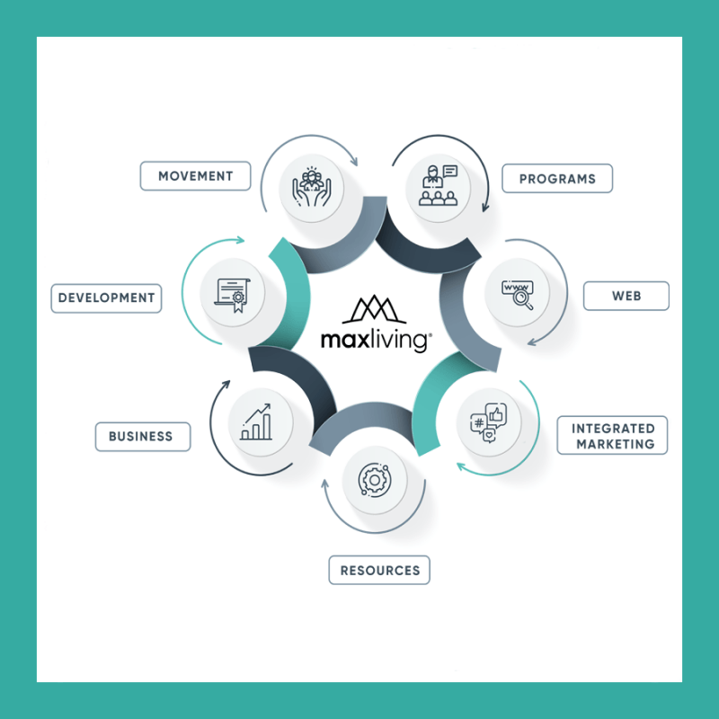 health-delivery-system-chart-copy-maxliving