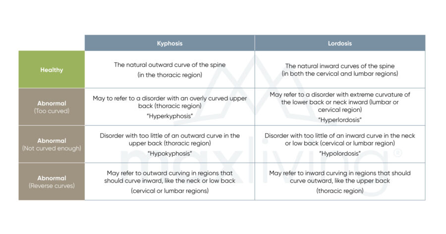 Reverse neck or back curvature (Cervical and Lumbar hypo-lordosis