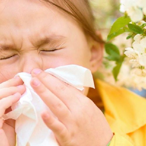 Spring Allergies