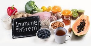 immune system food and nutrients