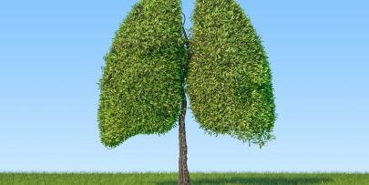 6 ways to reduce the risk of lung cancer