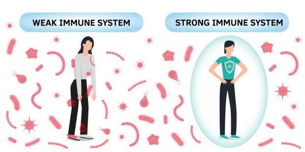 Weak immune system vs strong immune system