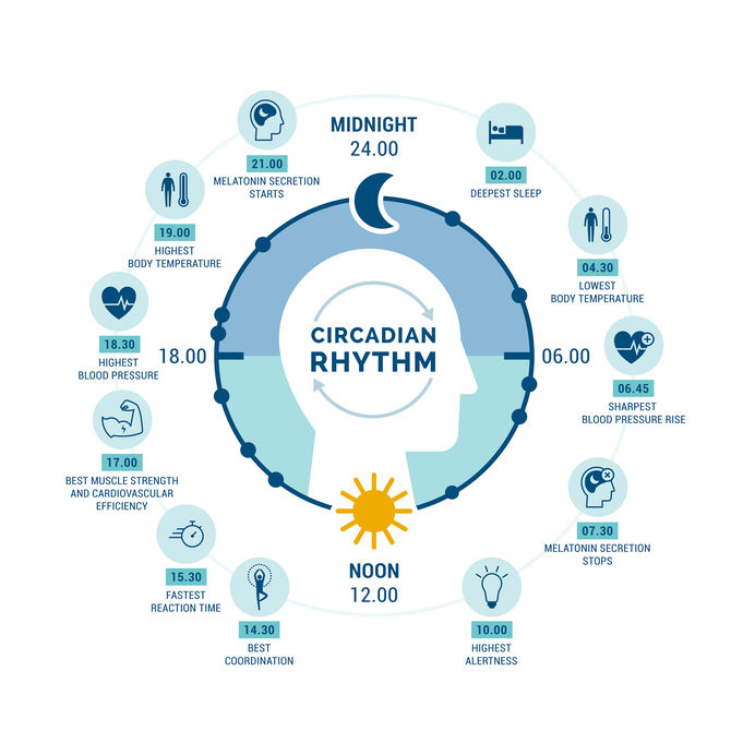 What is Circadian Rhythm & Why Is It Important MaxLiving