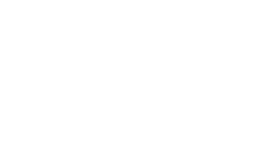 The MaxLiving Program